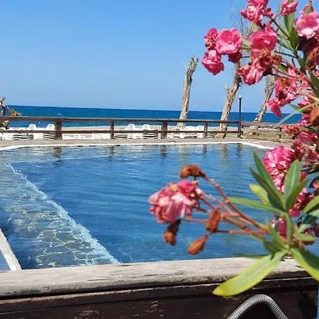 리조트 Patti Mongiove