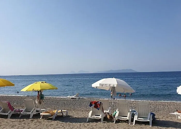 Patti Θέρετρο Mongiove